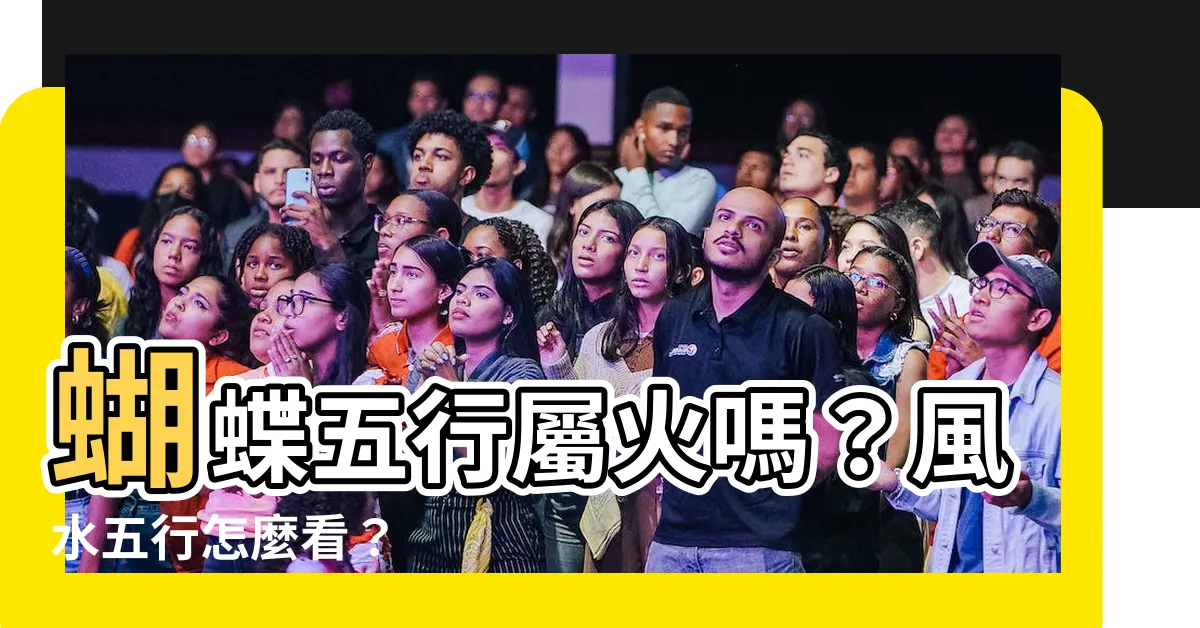 【蝴蝶五行】蝴蝶五行屬火嗎？風水五行怎麼看？