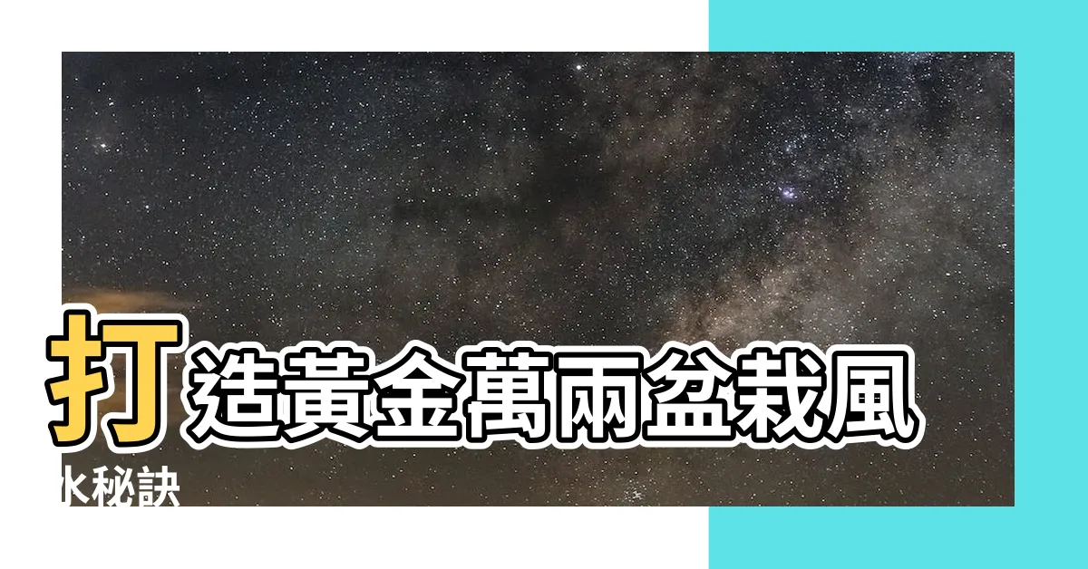 【黃金萬兩盆栽風水】打造黃金萬兩盆栽風水秘訣