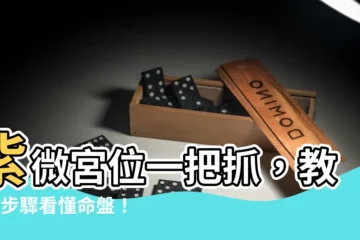 【紫微宮位怎麼看】紫微宮位一把抓，教你7步驟看懂命盤！