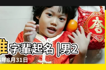 【維字輩男孩起名2016】維字輩起名 |男2016年8月31日辰時生 |取什麼名字 |