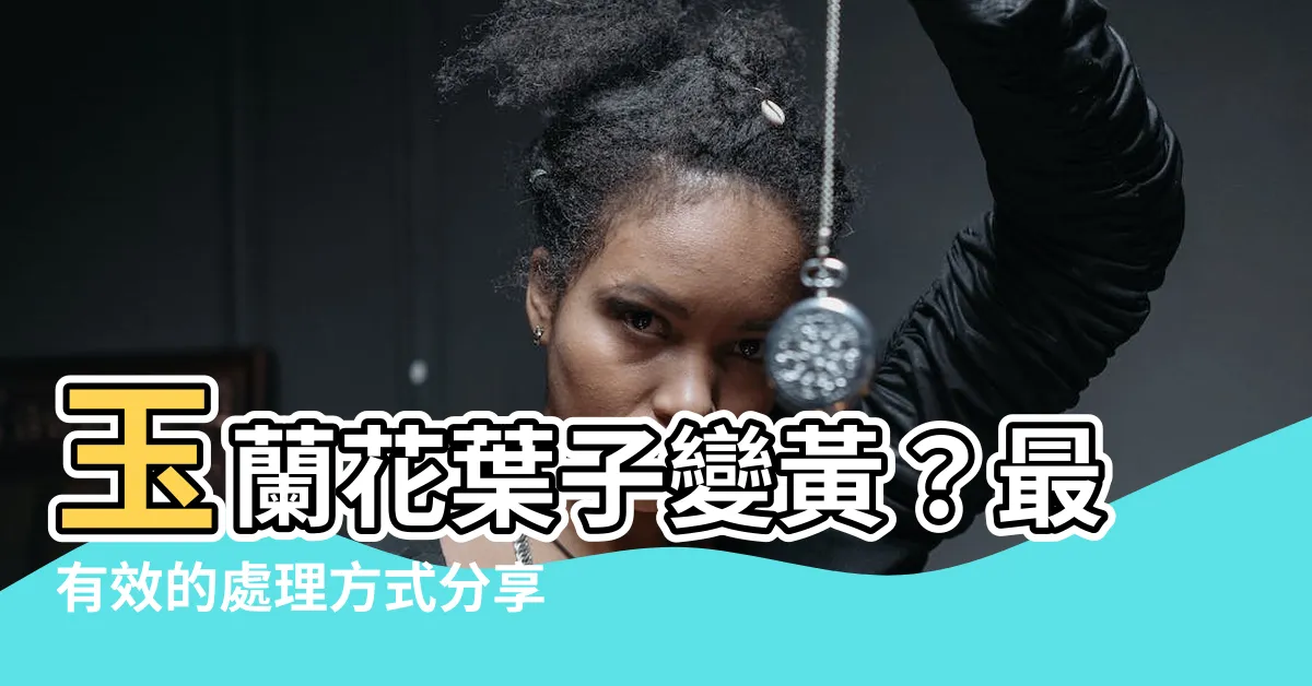 【玉蘭花葉子變黃】玉蘭花葉子變黃？最有效的處理方式分享！