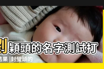 【進字頭取名字】劉穎頭的名字測試打分結果 |封瑩頭的名字測試打分結果 |謝祖隆恩陽光盛開小孩取名喜標異 |