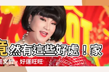 【文竹好處】竟然有這些好處！家裡擺文竹，好運旺旺來！