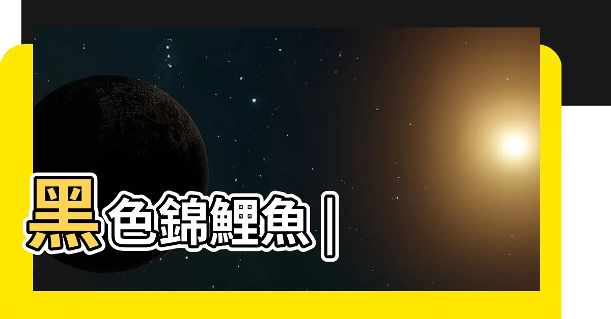 【黑色錦鯉】黑色錦鯉魚 |
