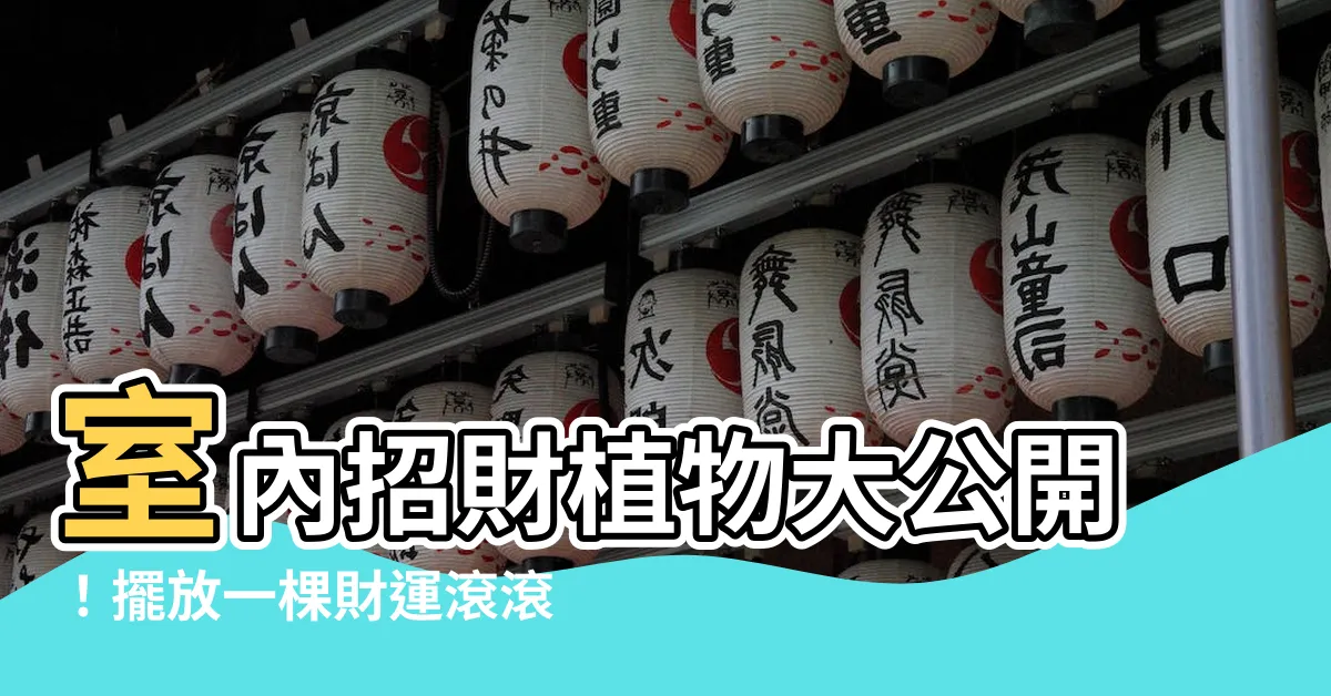 【室內招財植物】室內招財植物大公開！擺放一棵財運滾滾來