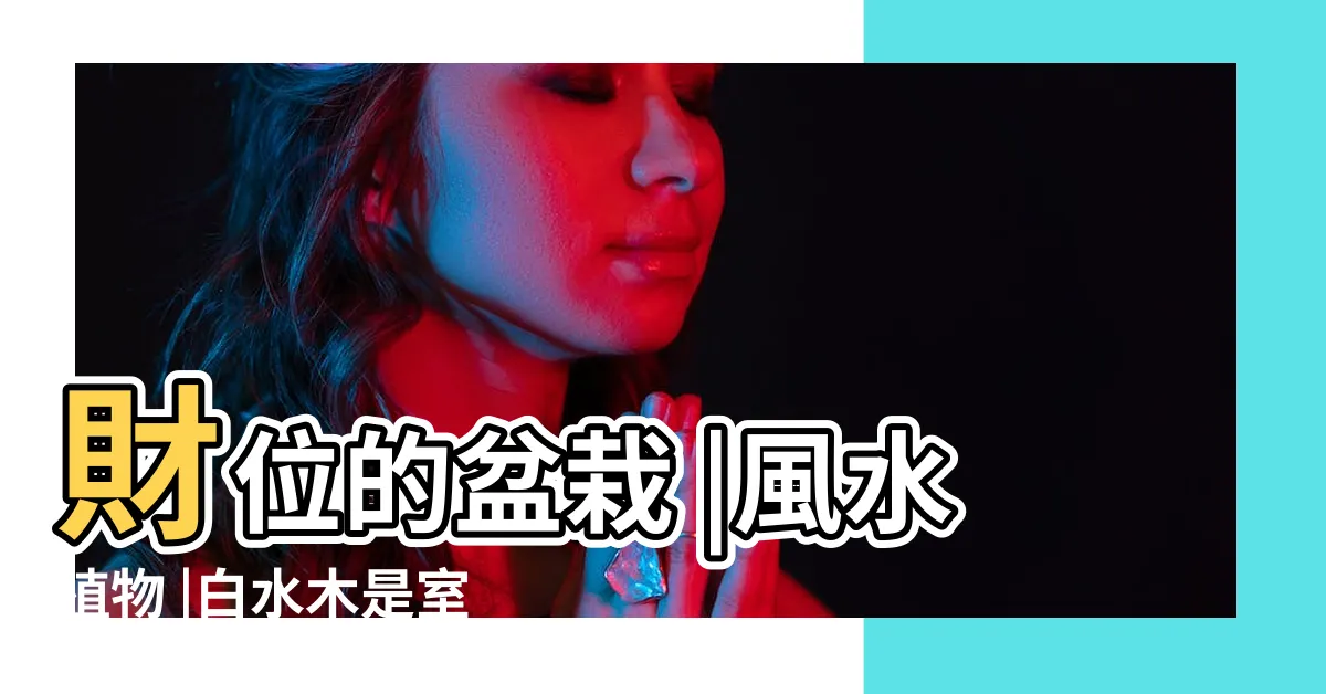 【白水木 風水】財位的盆栽 |風水植物 |白水木是室外的植物 |