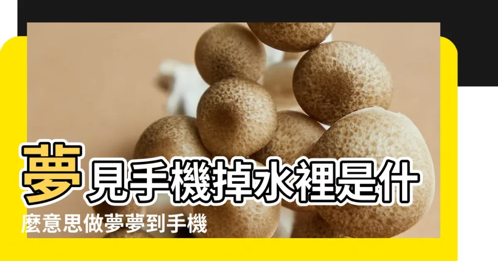 夢見手機掉水裡是什麼意思做夢夢到手機掉水裡好不好 |夢見檢到手機 |夢見手機掉水裡撿起來 |【夢見從水中撿到手機】