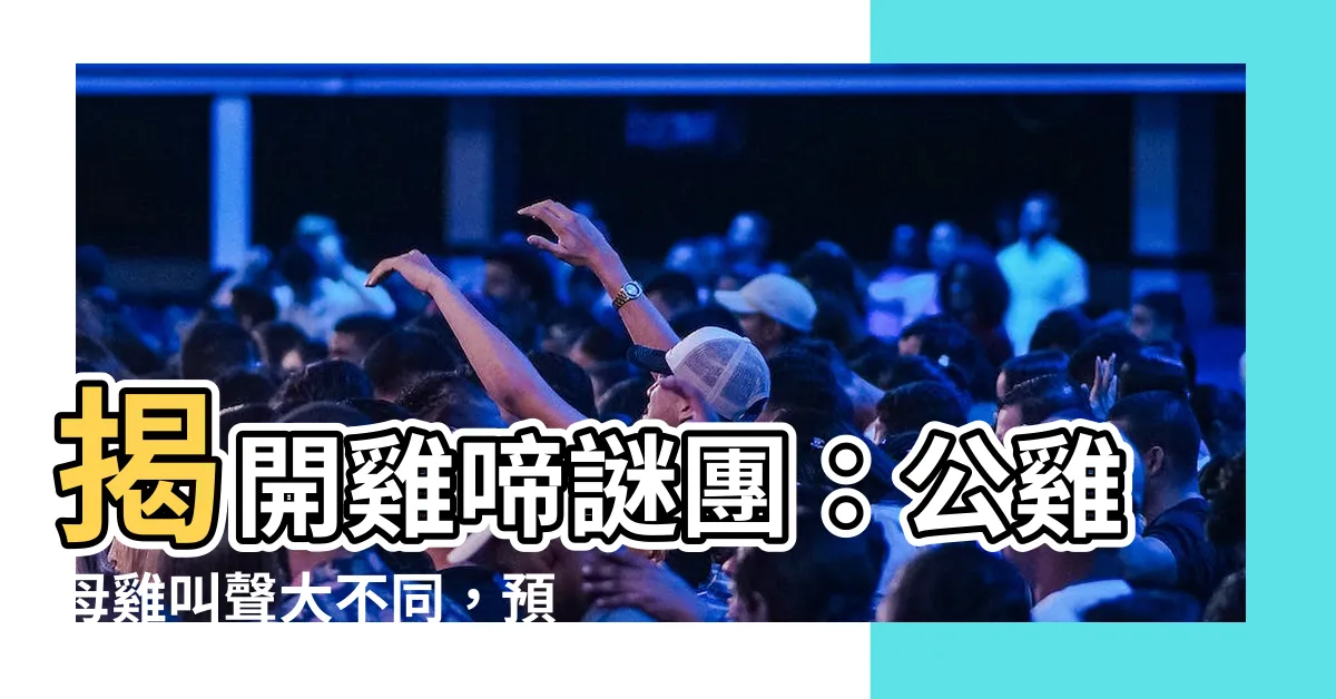 【公雞母雞叫聲】揭開雞啼謎團：公雞母雞叫聲大不同，預兆報喜還是禍？