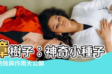 【樟樹子 作用】樟樹子：神奇小種子，功效與作用大公開！
