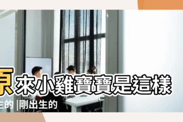 【出生一個月的小雞寶寶】原來小雞寶寶是這樣出生的 |剛出生的小雞怎麼養才能活 |剛出生的小雞怎麼飼養 |