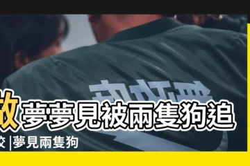 【夢見兩個狗咬傷自己】做夢夢見被兩隻狗追着咬 |夢見兩隻狗咬我 |夢見被兩隻狗咬 |