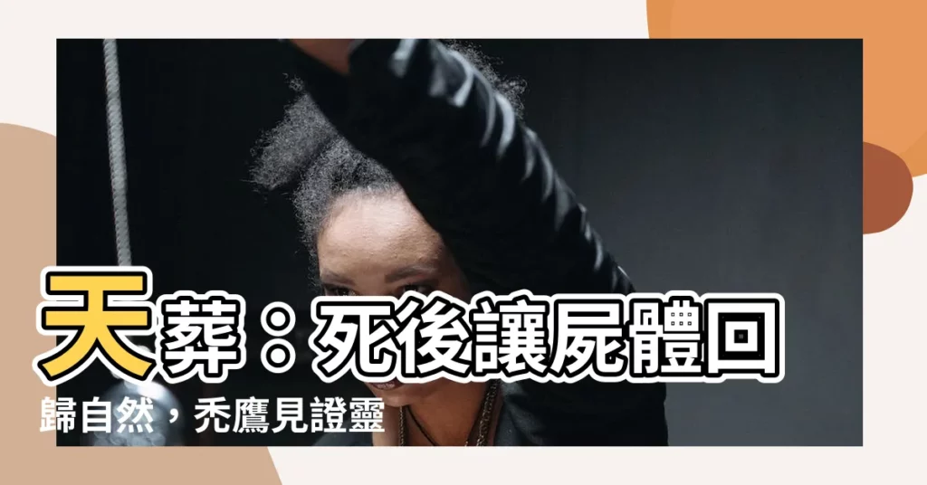 【天葬】天葬：死後讓屍體回歸自然，禿鷹見證靈魂歸途