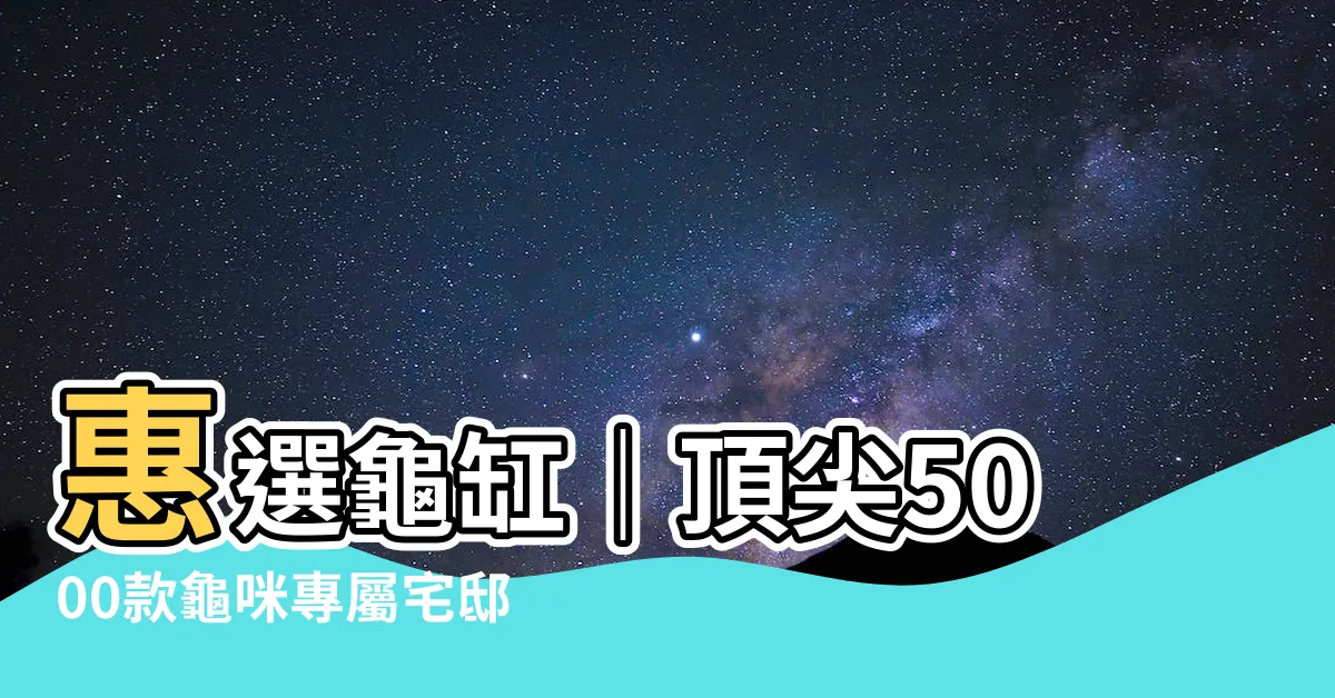 【龜缸】惠選龜缸｜頂尖5000款龜咪專屬宅邸
