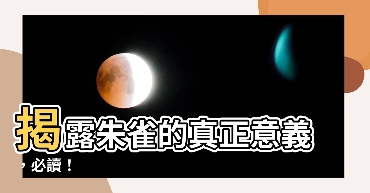 【朱雀意思】揭露朱雀的真正意義，必讀！