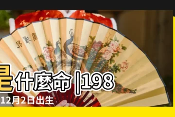 【1984年十二月生人】是什麼命 |1984年12月2日出生的人命好嗎 |1984年12月出生的生肖鼠命運與運勢解析 |