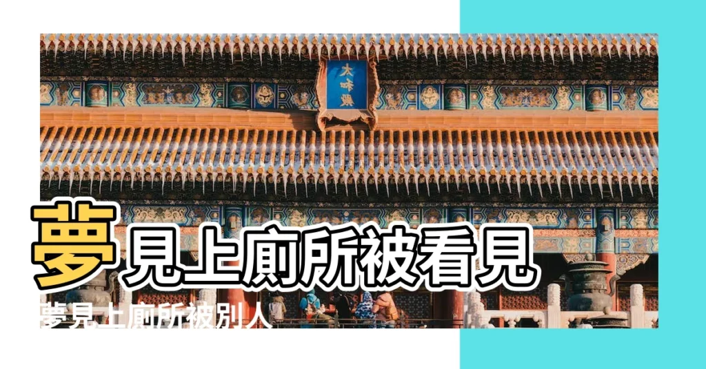 夢見上廁所被看見 |夢見上廁所被別人看到 |夢見上廁所被異性偷看 |【夢見廁所有人看】