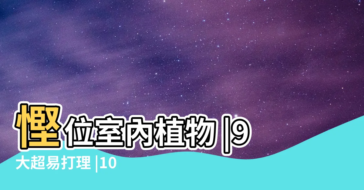 【多葉植物】慳位室內植物 |9大超易打理 |100件植物多葉 |