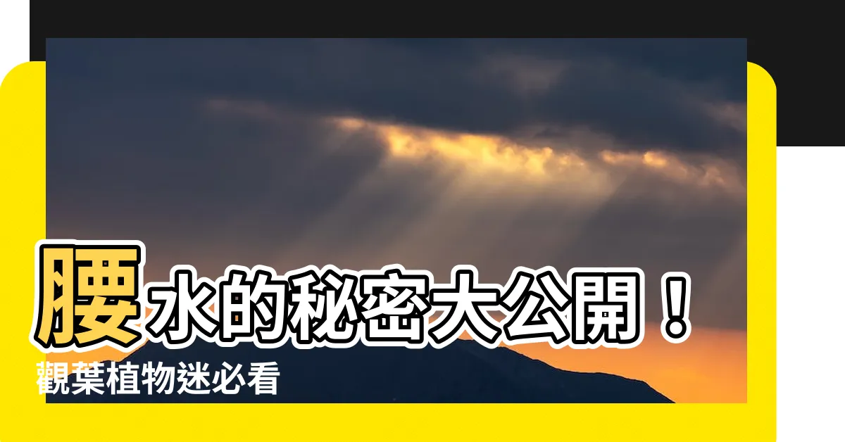 【腰水是什麼】腰水的秘密大公開！觀葉植物迷必看