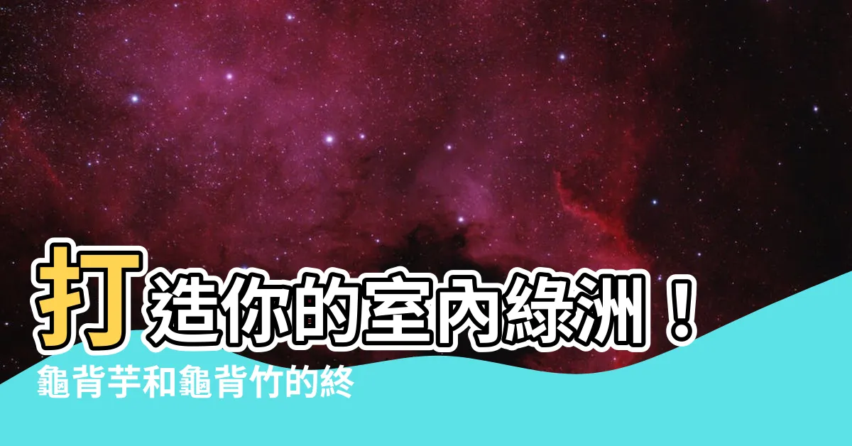 【龜背芋 龜背竹】打造你的室內綠洲！龜背芋和龜背竹的終極照護全攻略