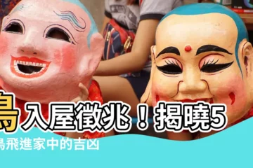 【鳥入屋】鳥入屋徵兆！揭曉5種鳥飛進家中的吉凶預兆