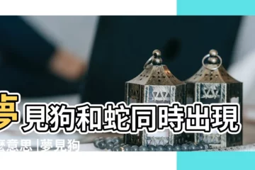 【夢見小狗和大蟒蛇】夢見狗和蛇同時出現什麼意思 |夢見狗和蛇 |夢見狗和蛇 |