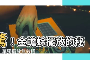 【蟾蜍擺放】驚！金蟾蜍擺放的秘密：單獨擺放無效招財大秘訣！