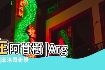 【上樹的山羊英文名字是什麼】在阿甘樹 |Argan |摩洛哥奇景 |
