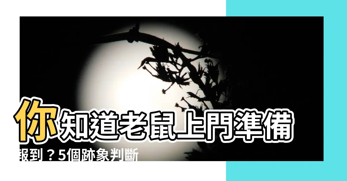【老鼠來家裡】你知道老鼠上門準備報到？5個跡象判斷家中是否"鼠"聲大作！