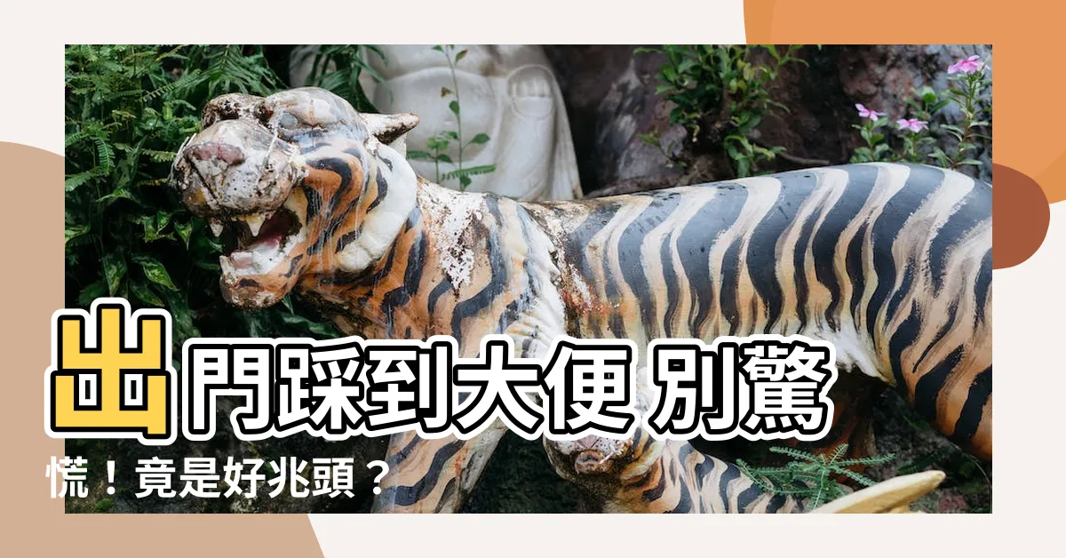 【出門踩到大便】出門踩到大便 別驚慌！竟是好兆頭？