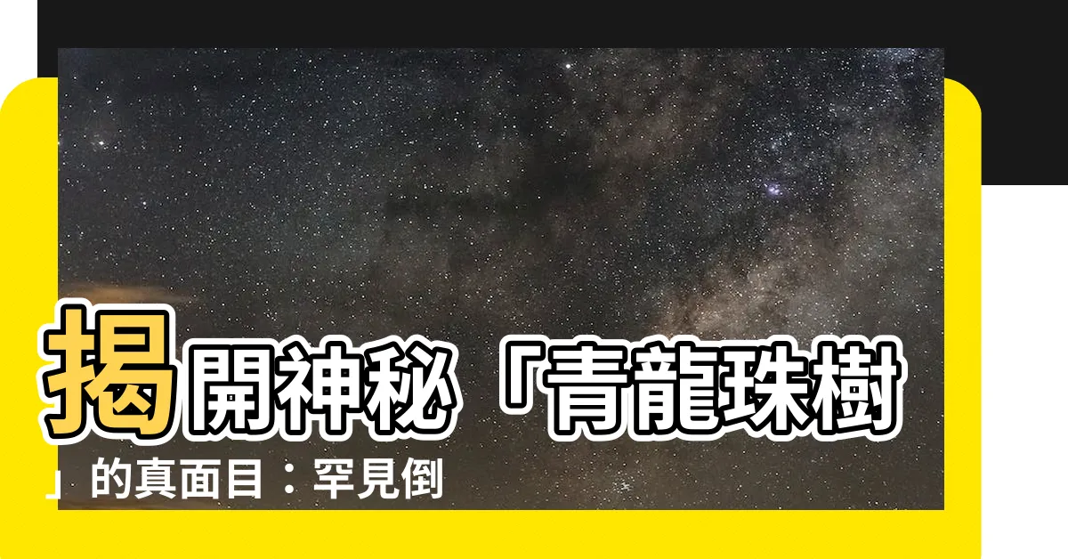 【青龍珠樹】揭開神秘「青龍珠樹」的真面目：罕見倒卵葉楠化身守護神？
