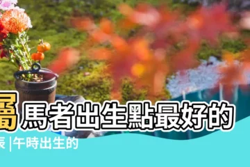 【屬馬人生到午時好嗎】屬馬者出生點最好的時辰 |午時出生的屬馬人命運如何 |屬馬的幾點出生最好 |