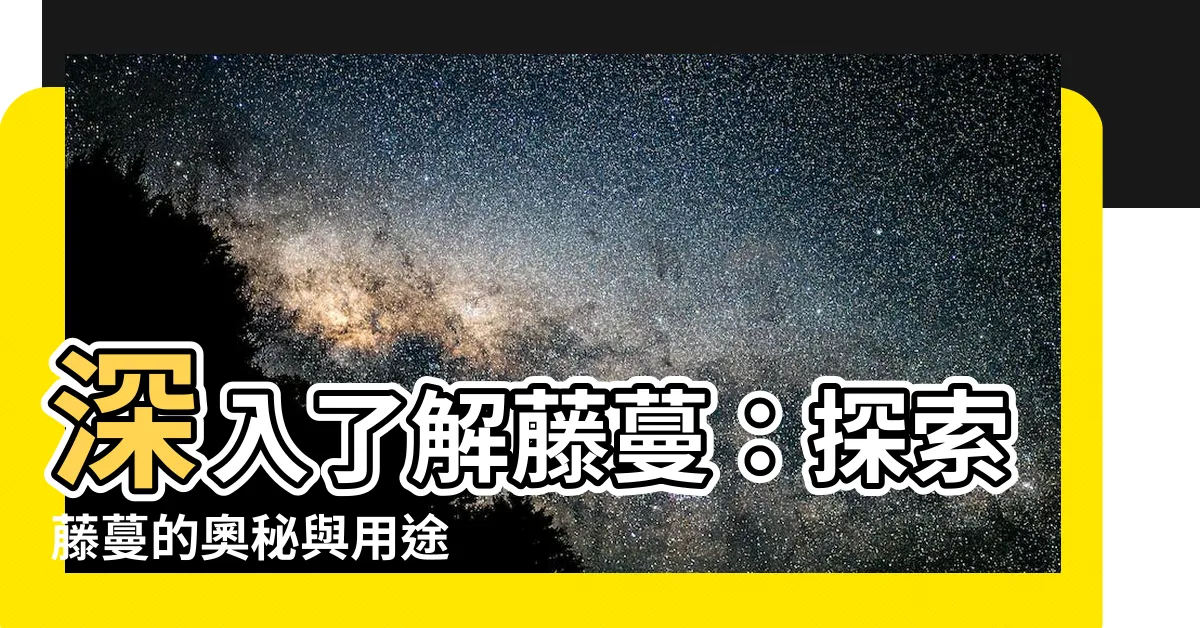 【藤蔓 解釋】深入瞭解藤蔓：探索藤蔓的奧秘與用途