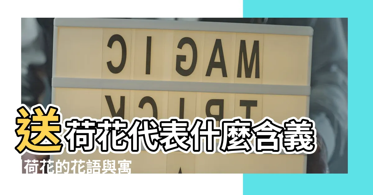 【荷花意思】送荷花代表什麼含義 |荷花的花語與寓意 |荷花的花語和象徵意義 |