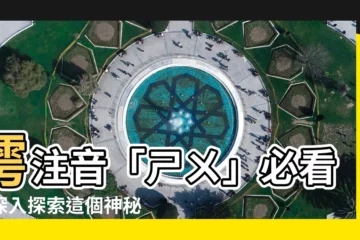 【樗注音】樗注音「ㄕㄨ」必看！深入探索這個神秘的漢字