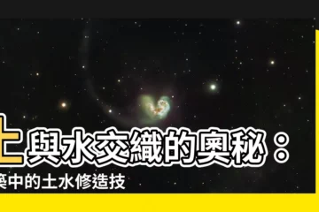 【土 水】土與水交織的奧秘：建築中的土水修造技術大揭秘