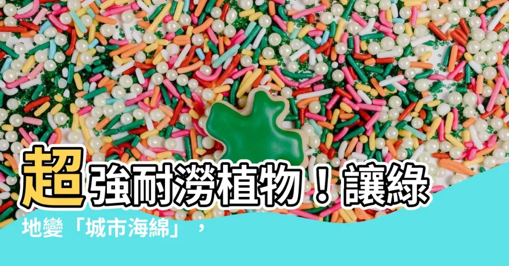 【耐澇植物】超強耐澇植物！讓綠地變「城市海綿」，養花新手必備