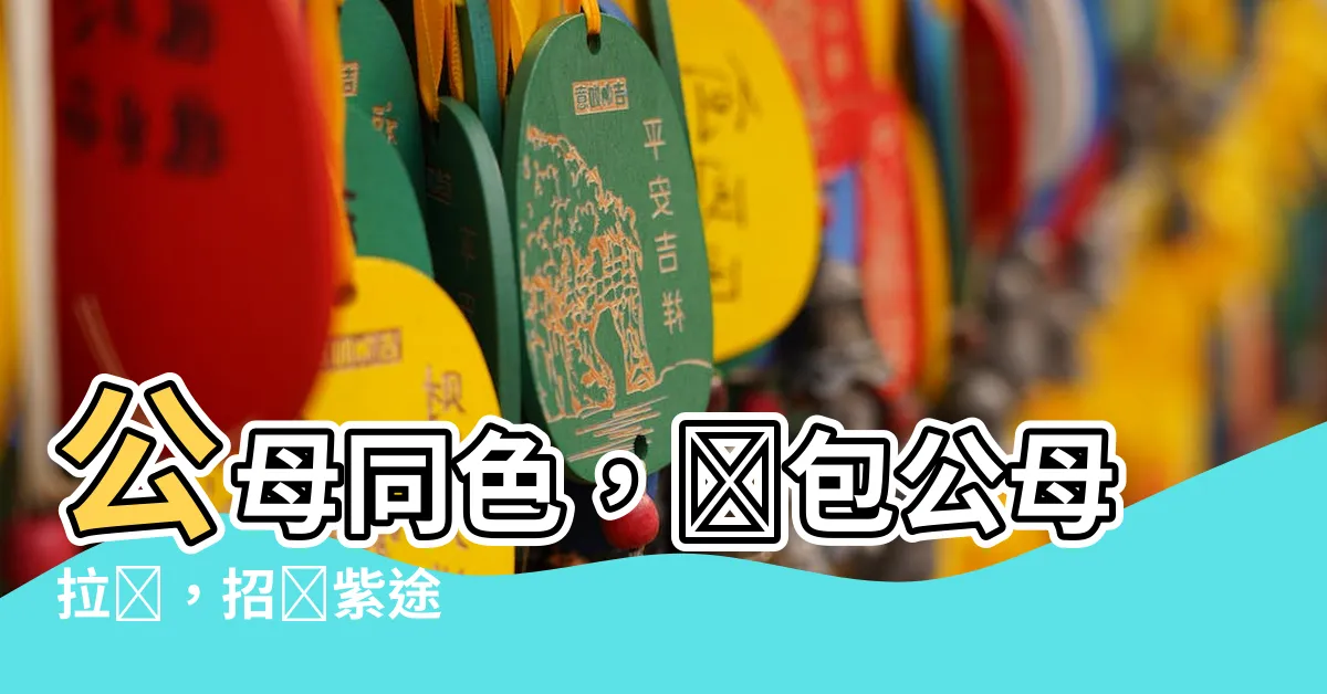 【錢包公母拉鍊】公母同色，錢包公母拉鍊，招財紫途