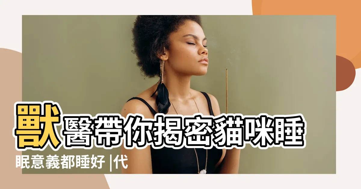 【貓訓覺位置】獸醫帶你揭密貓咪睡眠意義都睡好 |代表超愛你 |貓貓冷知識 |