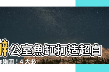 【辦公室魚缸】辦公室魚缸打造超白迷你樂園！4 大必備元素不可少