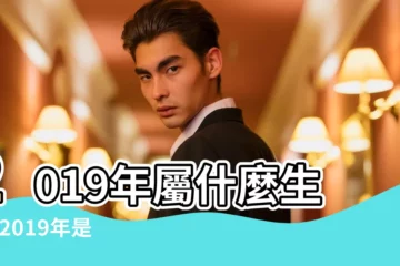 【農曆2019年屬什麼生肖】2019年屬什麼生肖 |2019年是民國幾年 |2019年出生屬什麼生肖 |