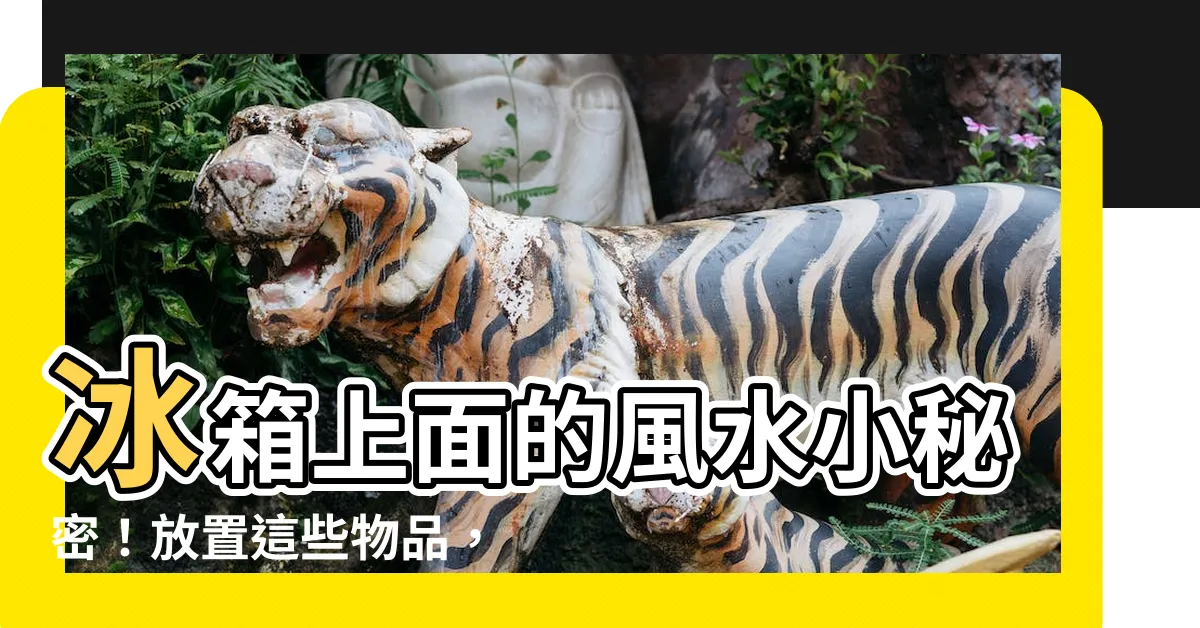 【冰箱上面可以放什麼風水】冰箱上面的風水小秘密！放置這些物品，財富源源不斷！