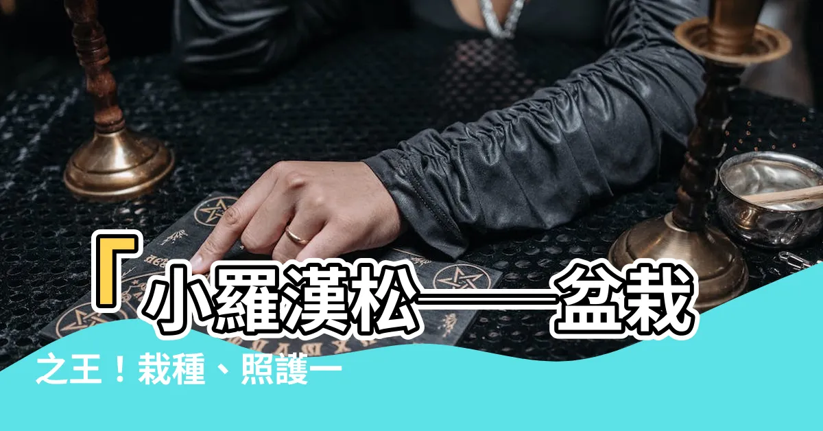 【小羅漢松】「小羅漢松──盆栽之王！栽種、照護一次搞定」