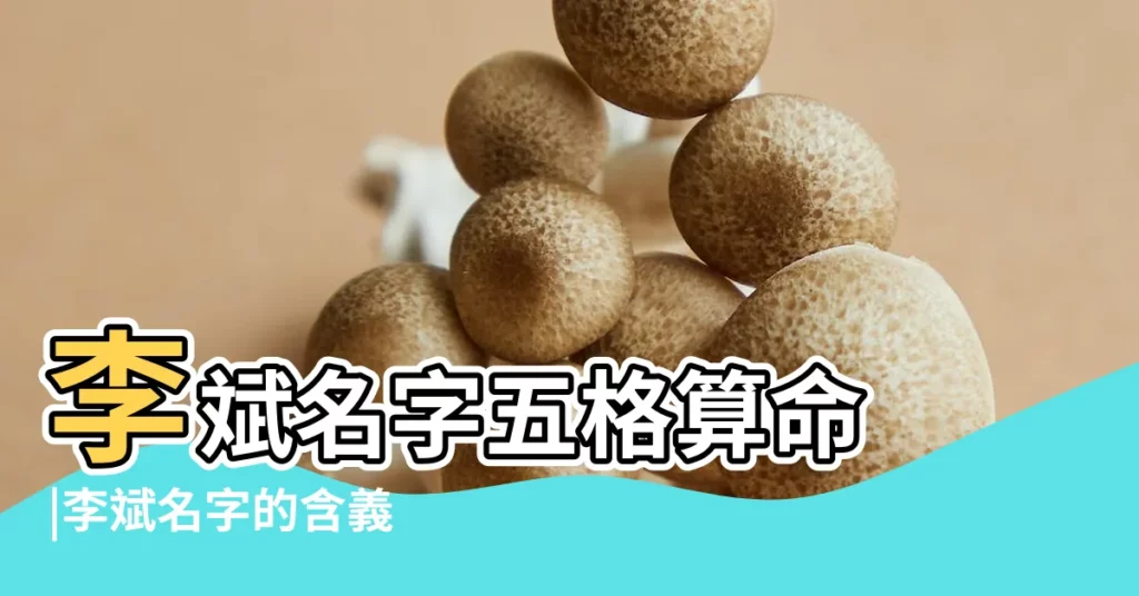 李斌名字五格算命 |李斌名字的含義 |李斌名字打分 |【李斌的公司名字打分】