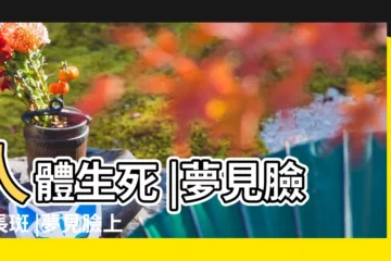 【夢見自己眼睛下長斑】人體生死 |夢見臉上長斑 |夢見臉上長雀斑 |