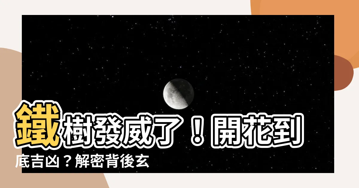 【鐵樹開花是好是壞】鐵樹發威了！開花到底吉凶？解密背後玄機