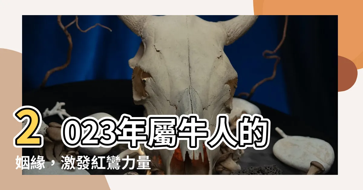 【屬牛姻緣】2023年屬牛人的姻緣，激發紅鸞力量，婚姻如桃花般綻放！