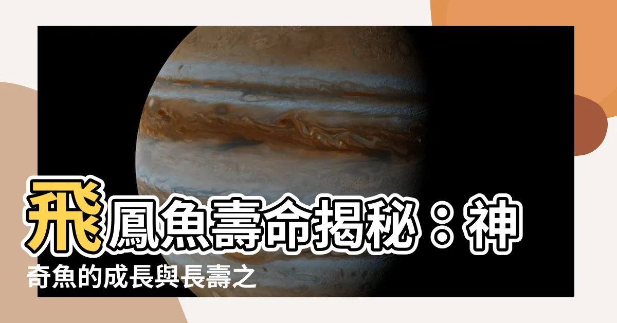 【飛鳳魚壽命】飛鳳魚壽命揭秘：神奇魚的成長與長壽之謎
