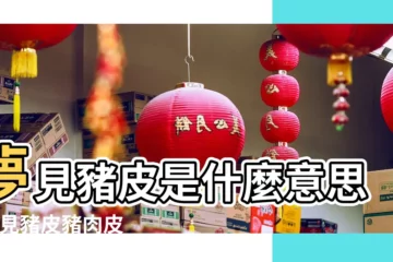 【周公解夢豬肉皮】夢見豬皮是什麼意思 |夢見豬皮豬肉皮是什麼意思 |夢見豬肉皮豬皮 |