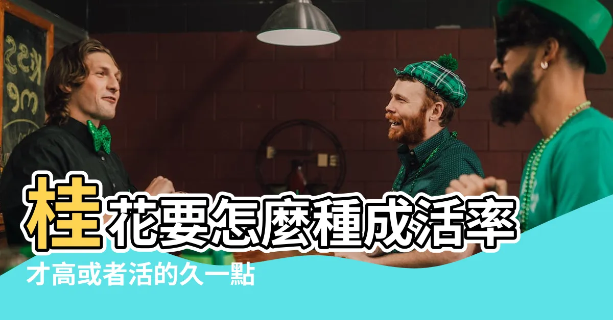 【桂花種不活】桂花要怎麼種成活率才高或者活的久一點呢 |老花農幫你分析原因 |請教桂花種植問題 |