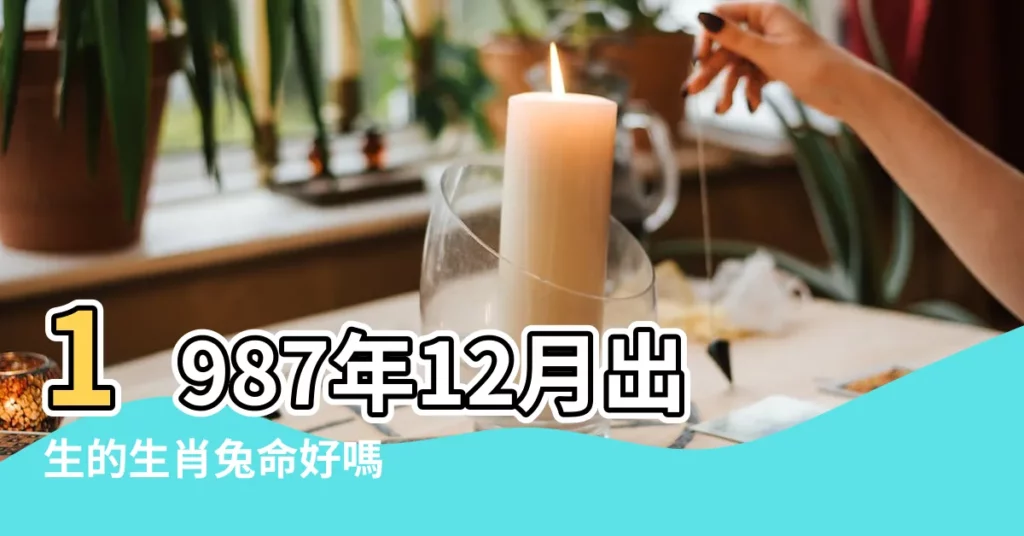 1987年12月出生的生肖兔命好嗎 |87年12月屬兔的是什麼命 |運勢如何 |【1987年12月的兔人命好嗎】